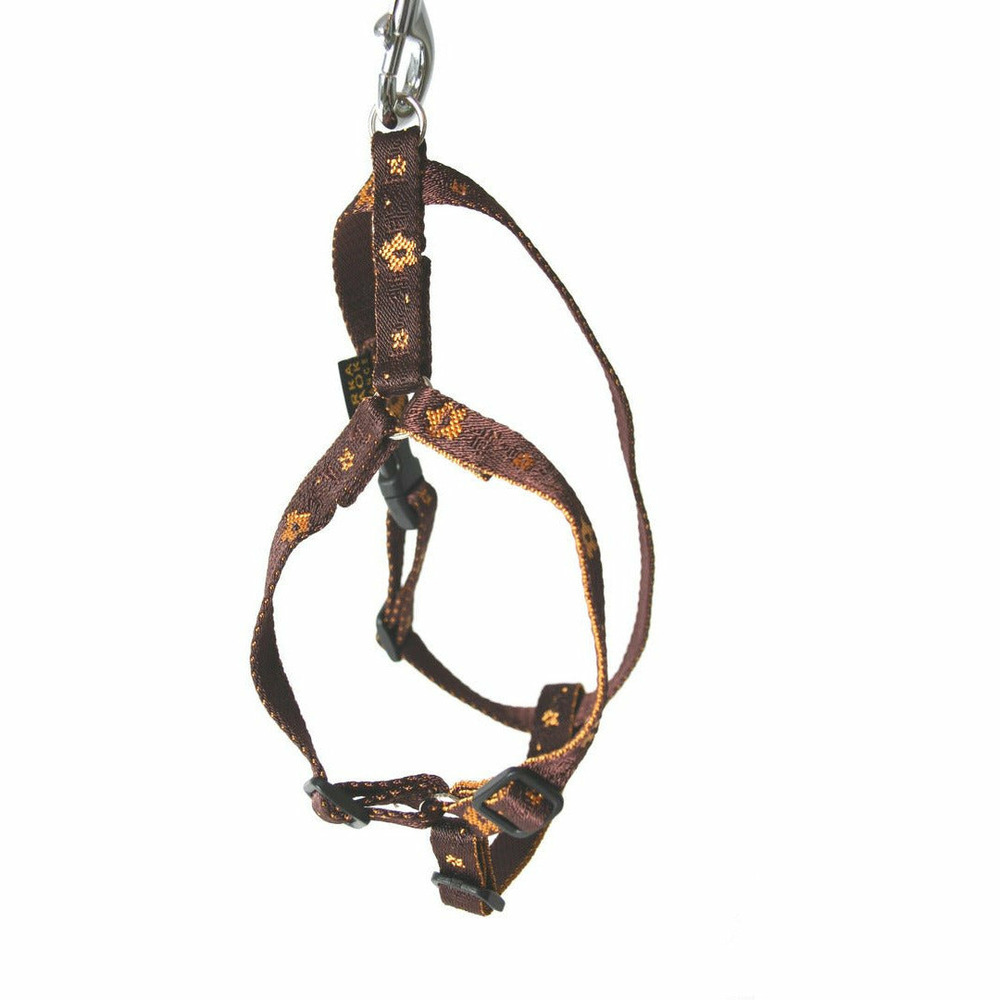 Harnais en nylon arka haok by pour chiens - collection népal