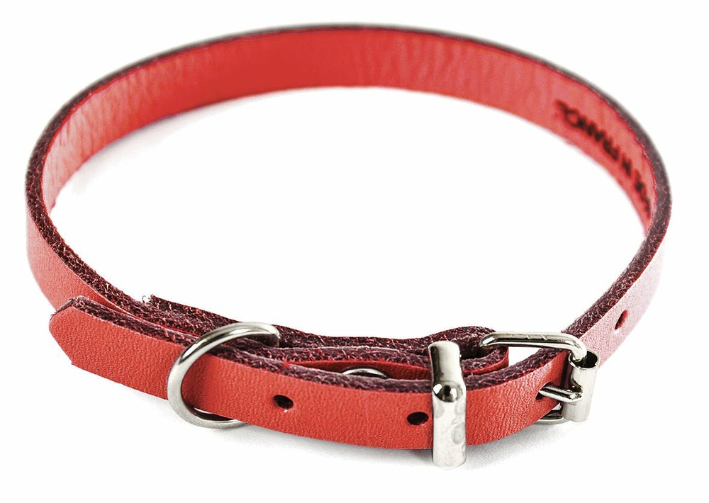 Collier pour chien en cuir pleine fleur choisissez parmi 6 couleurs éclatantes