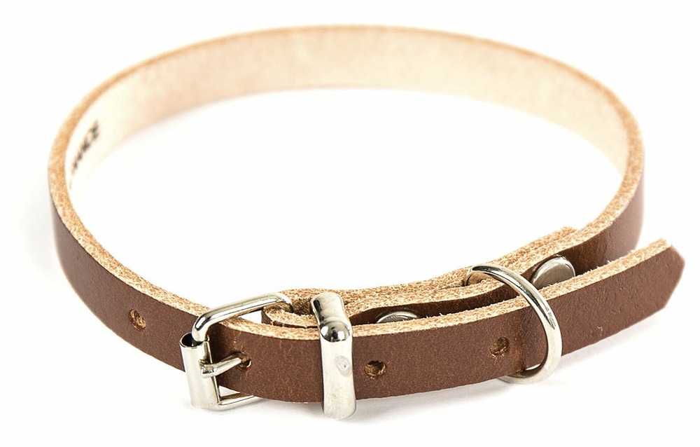 Collier pour chien en cuir pleine fleur choisissez parmi 6 couleurs éclatantes