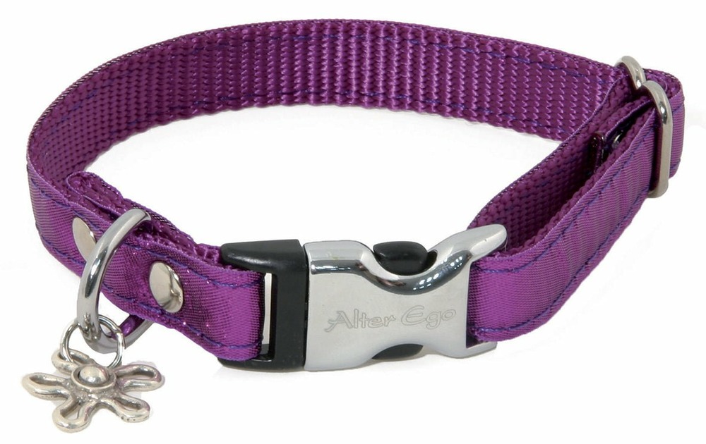 Alter ego - collier pour chiens en nylon