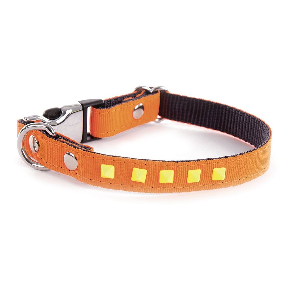 Collier pour chiens et chats alter ego avec pyramides fluo