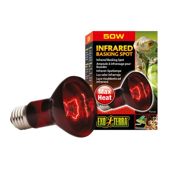 Lampe infrared basking spot reptiles