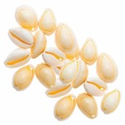 20 perles coquillages naturels - 2 perforations