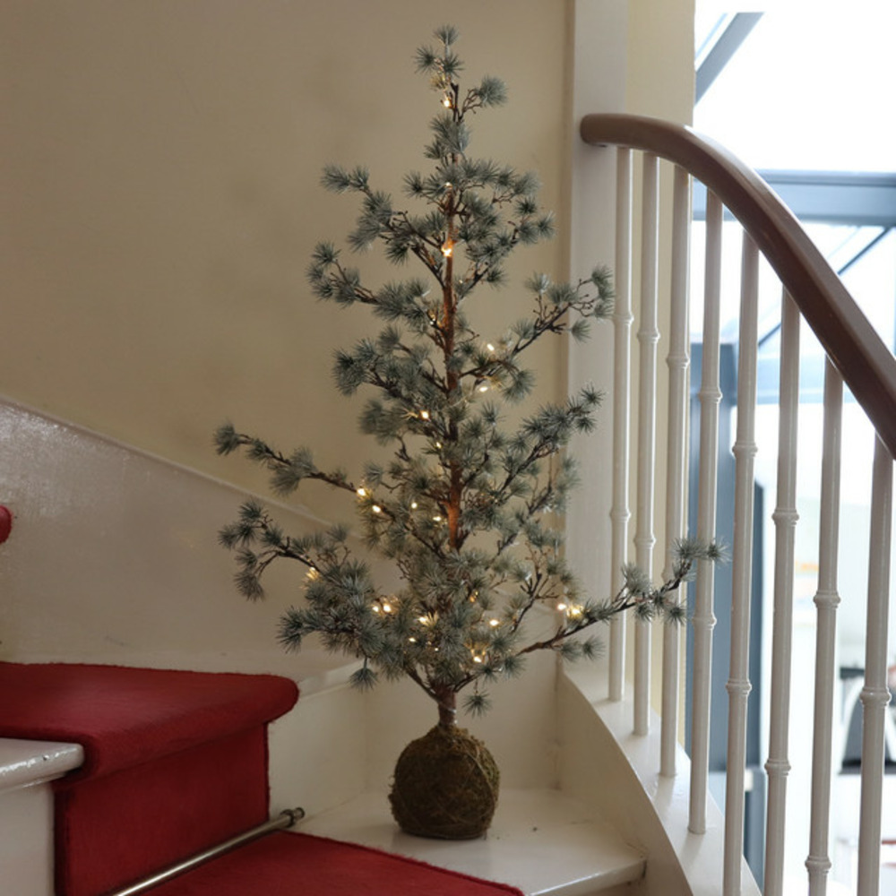 Sapin coco lumineux - 30 microled blanc chaud - fixe - 60cm - à piles - intérieur - chromex