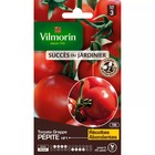 Sachet graines tomate grappe pépite hf1