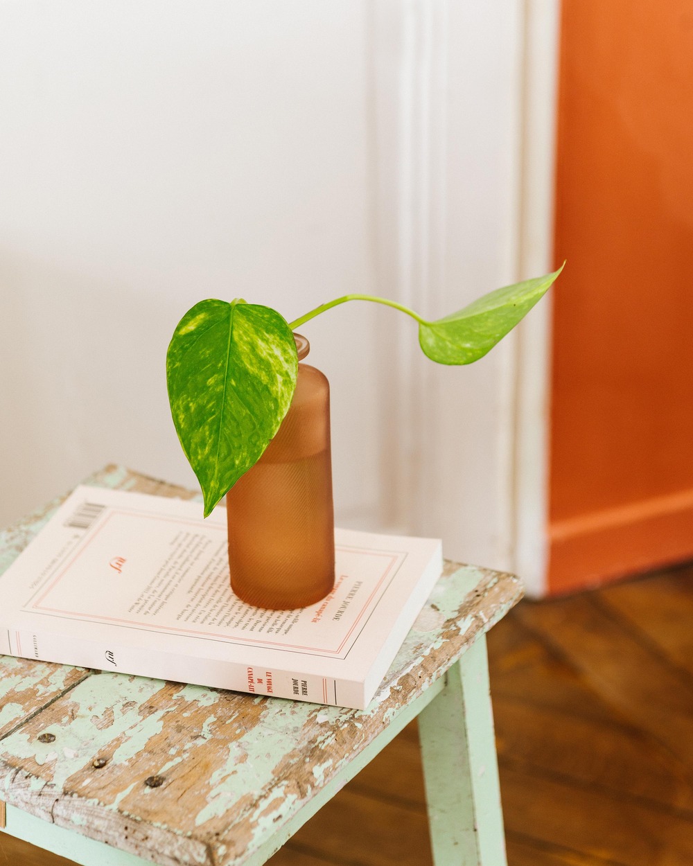 Vase vintage fumé hydroculture Truffaut