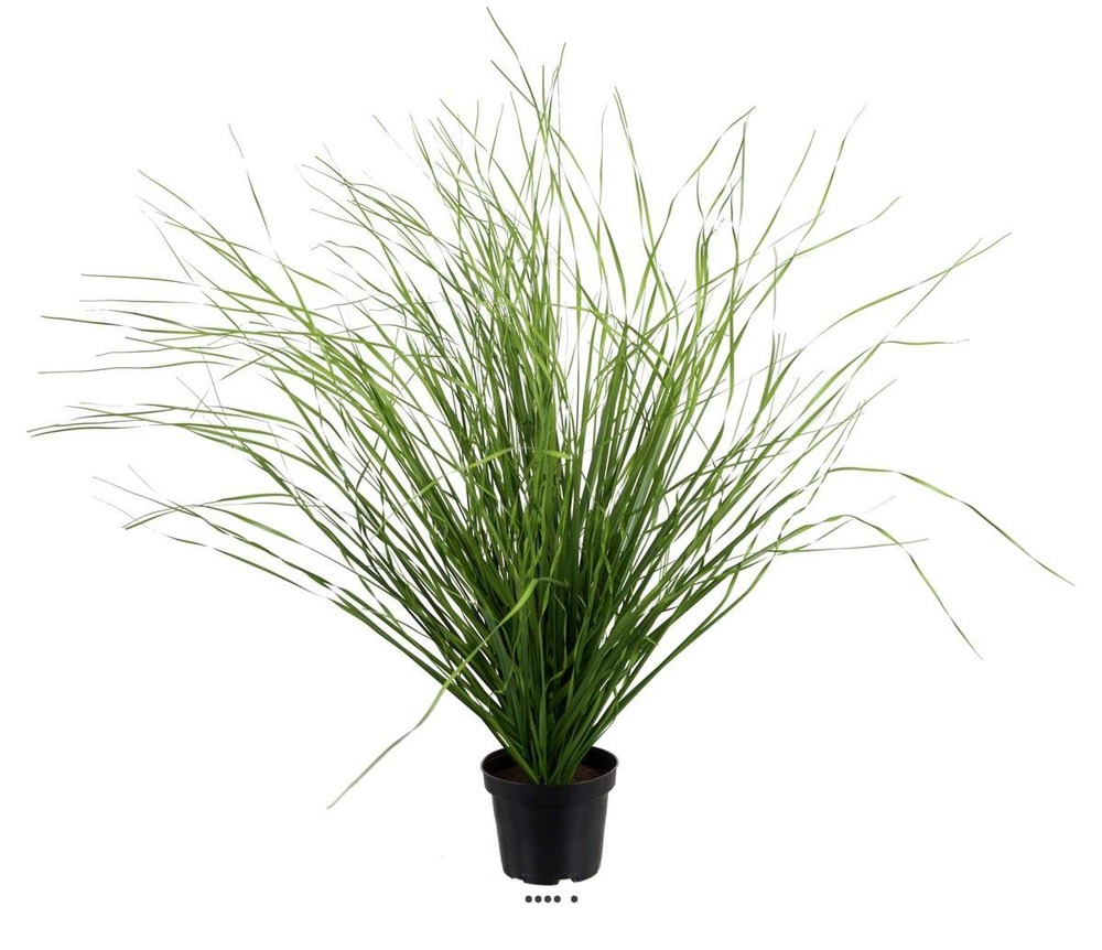 Herbe folle artificielle aÃ©rienne, en pot