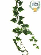 Guirlande de lierre artificiel l180 cm 96 feuilles panaché - best - couleur: bla