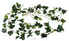 Guirlande de lierre anglais artificiel, anti-uv, l 200 cm vert - couleur: vert