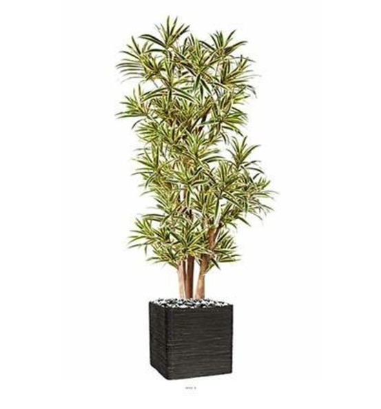 Dracaena reflexa artificiel panache h 120 cm 1002 feuilles en pot - dimhaut: h 1
