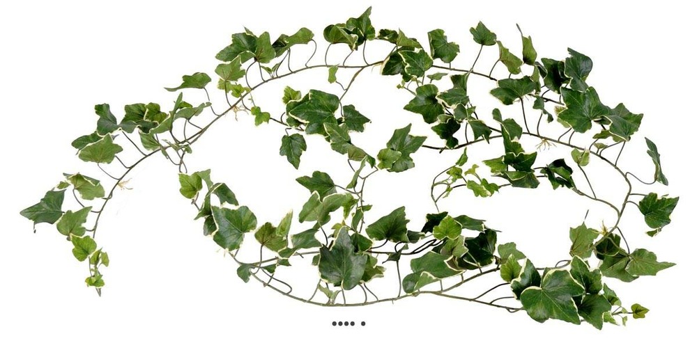 Guirlande de lierre anglais artificiel, anti-uv, l 200 cm blanc-vert - couleur: