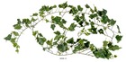Guirlande de lierre anglais artificiel, anti-uv, l 200 cm blanc-vert - couleur: