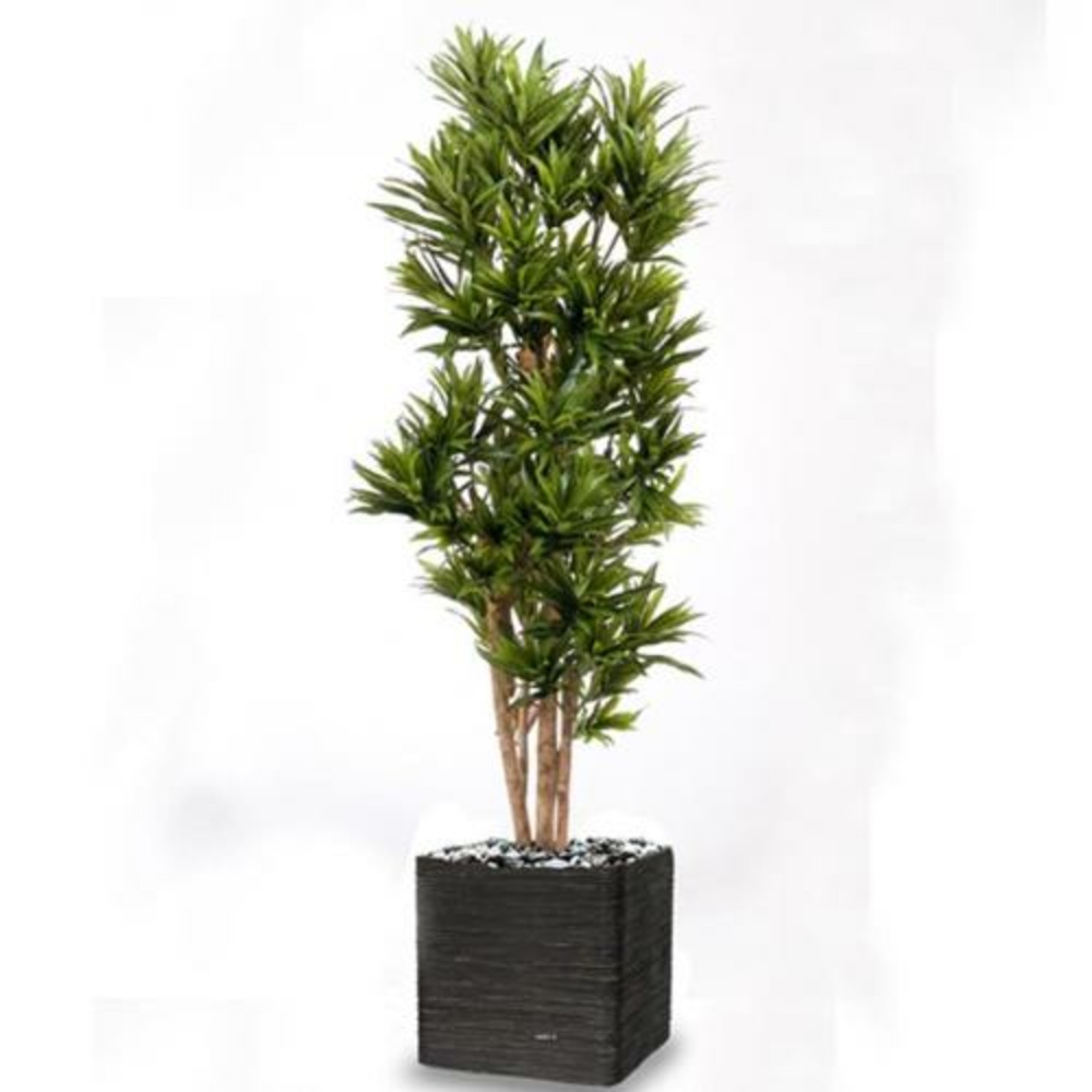 Dracaena reflexa artificiel vert h 120 cm 1002 feuilles en pot - dimhaut: h 120