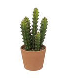 Plante artificielle cactus dans pot en terre cuite h 30 cm