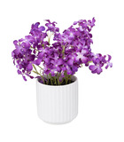 Plante artificielle violette des bois pot en céramique blanche h 27 cm