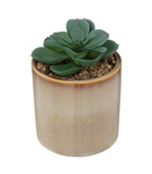 Plante grasse artificielle pot en céramique émaillée h 14 cm