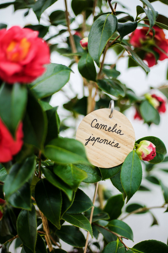 Étiquettes bois rondes