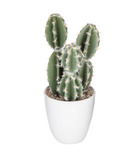 Plante artificielle cactus en pot h 18 cm