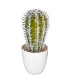 Plante artificielle cactus en pot h 18 cm