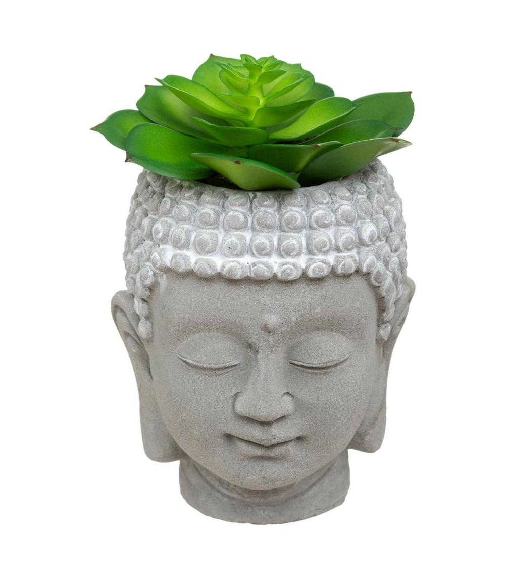 Plante artificielle succulente pot bouddha
