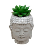 Plante artificielle succulente pot bouddha