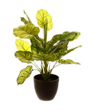 Plante verte artificielle en pot h 45 cm
