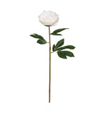 Fleur artificielle pivoine sur tige h 68 cm