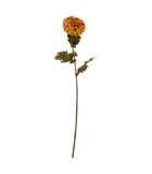 Fleur artificielle tige de dahlia h 65 cm