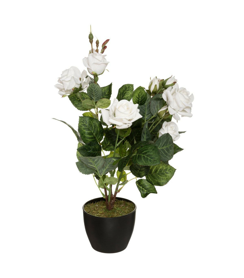 Plante artificielle rosier velours en pot h 43 cm