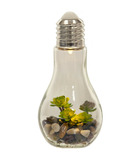 Plante artificielle dans une ampoule led en verre h 18.5 cm