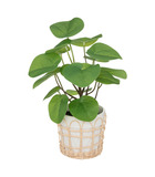 Plante artificielle dans pot en céramique et rotin h 34 cm