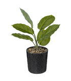 Plante verte artificielle pot en céramique d 12 x h 35 cm