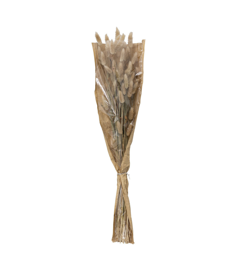Bouquet de fleurs séchées queue de lapin ivoire d. 18 x h. 58 cm