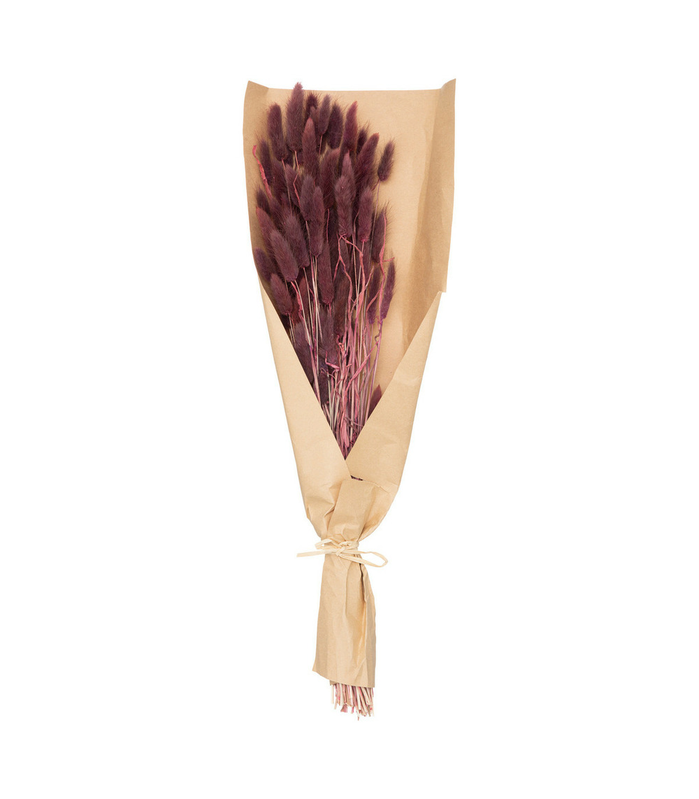 Bouquet de fleurs séchées queue de lapin violet d. 18 x h. 58 cm
