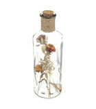 Fleurs séchées dans bouteille en verre d 9  x h 28 cm
