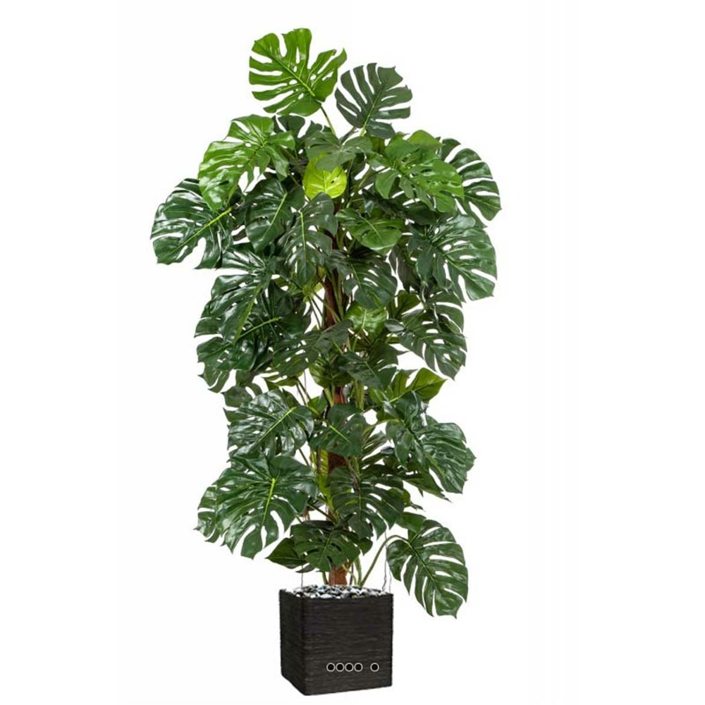 Monstera artificiel sur pied, en pot, h 160 cm - dimhaut: h 160 cm