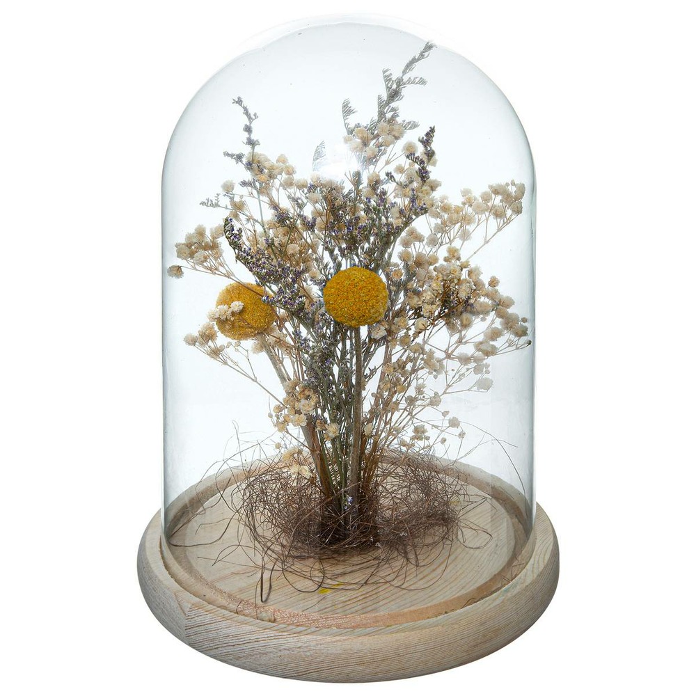 Fleurs séchées sous cloche - A Nos Racines Fleurs séchées sous cloche - A Nos Racines