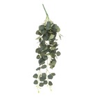 Plante artificielle tombante d'eucalyptus - h80 cm