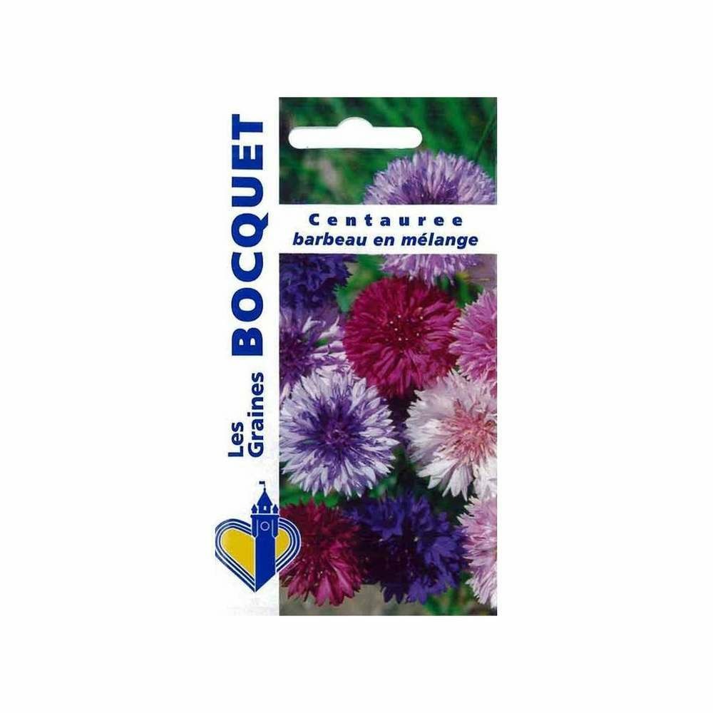 CentaurÃ©e barbeau en mÃ©lange