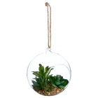 Plante artificielle en boule - pot en verre - h17 cm