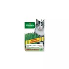 Sachet graines herbe à chat