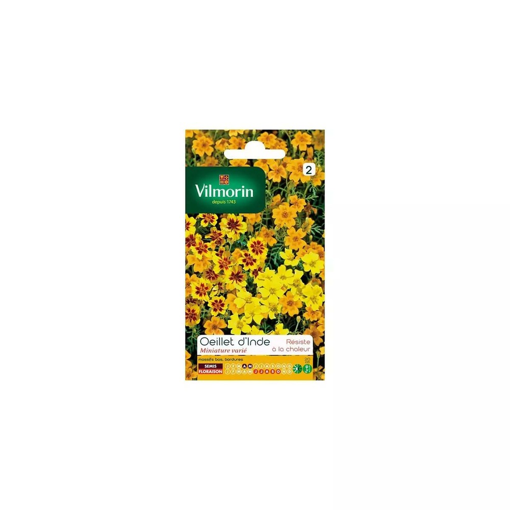 Vilmorin 5867150 Pack de Graines Mélange de Fleurs Durable