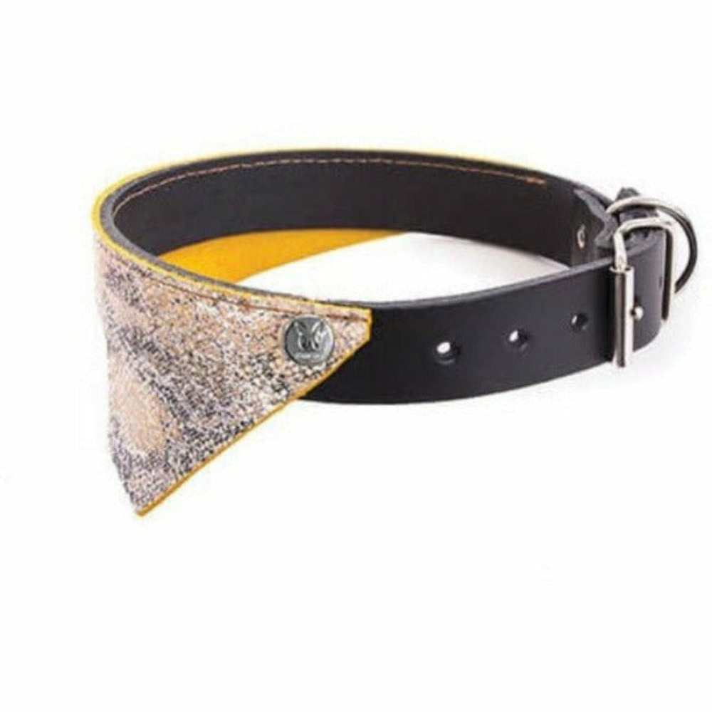 Collier pour chiens en cuir pleine fleur avec bandana
