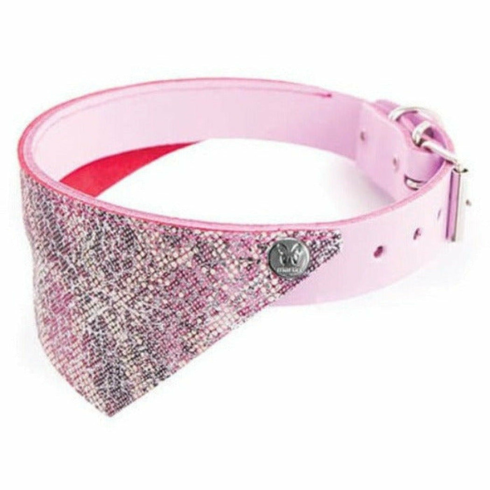 Collier pour chiens en cuir pleine fleur avec bandana