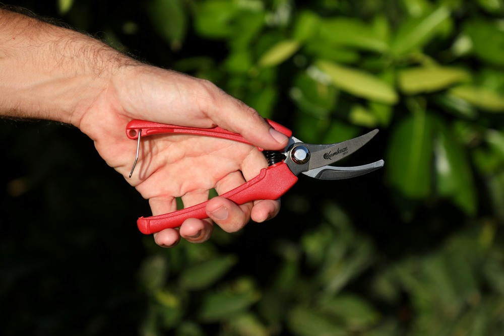 T-900 ciseaux de collection kamikaze semi-professional bypass. Ciseaux de jardinage.