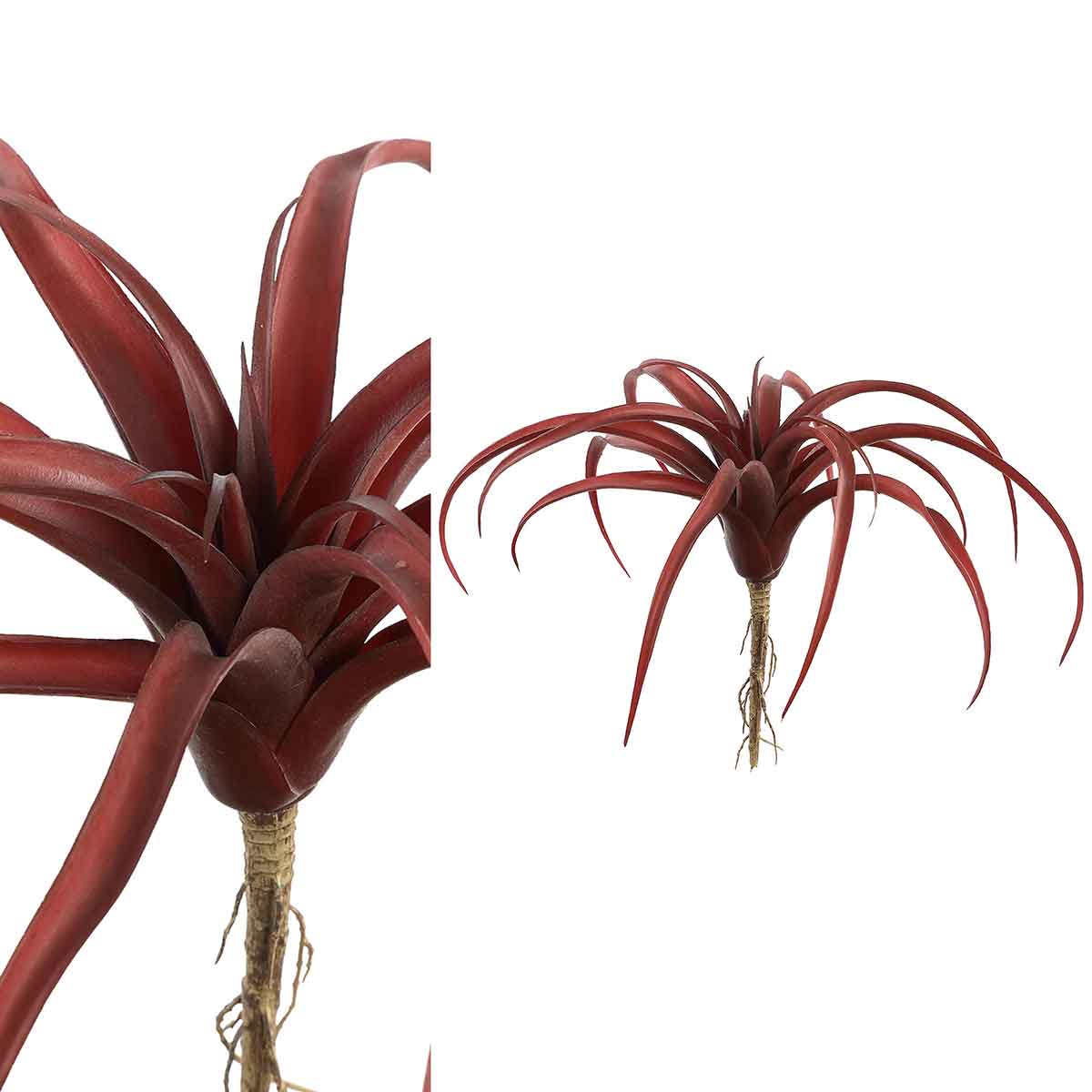 Ptmd plante artificielle succulent - 9x30x23 cm - plastique - rouge