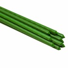Tuteur pour plantes et légumes - en fer - hauteur : 90 cm