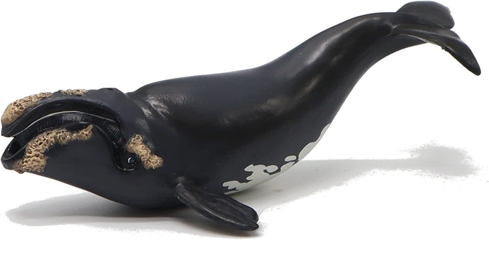 Figurine jeune baleine franche