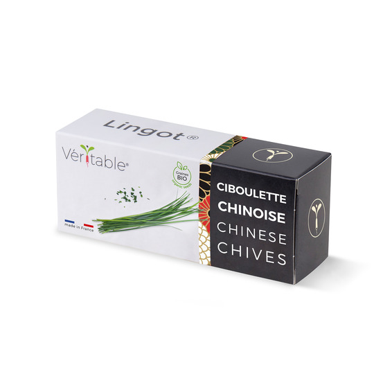 Lingot ciboulette chinoise bio - recharge prête à l'emploi