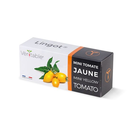 Lingot mini tomate jaune - recharge prête à l'emploi